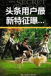 头条用户最新特征曝光,引发热议!年轻化、多元化成为焦点